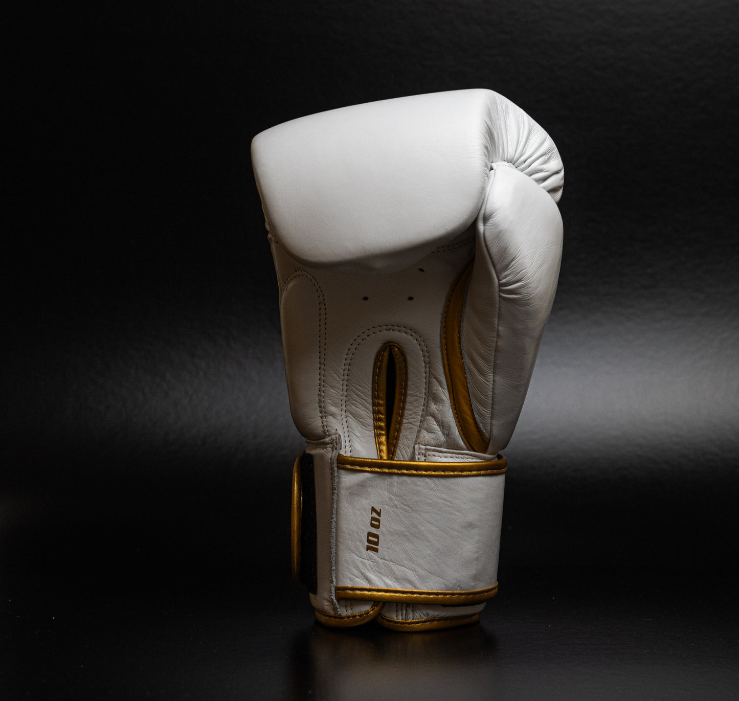 Muay Thai Boxing glove