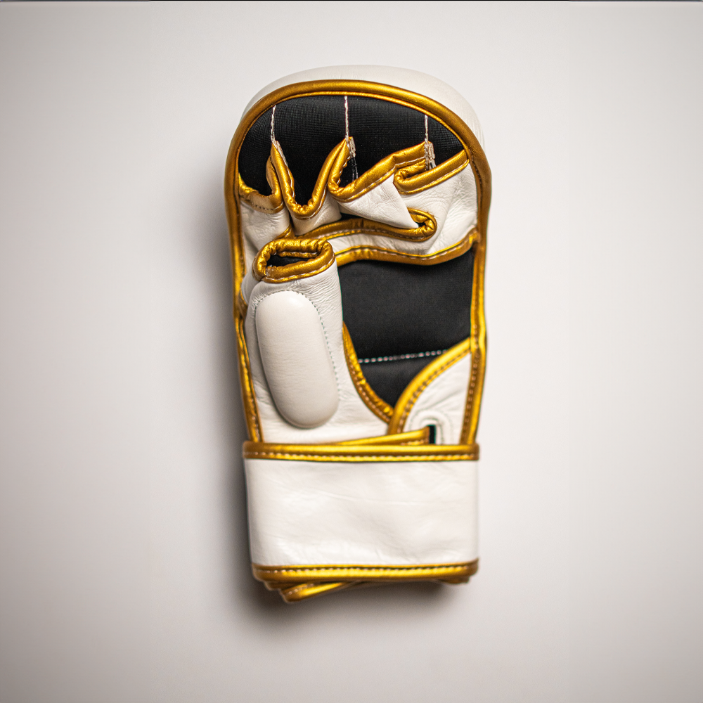MMA Sparing gloves.