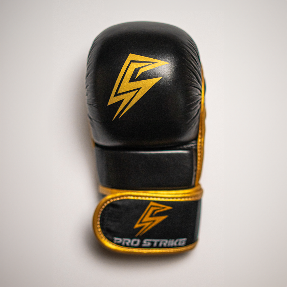 MMA Sparing gloves.