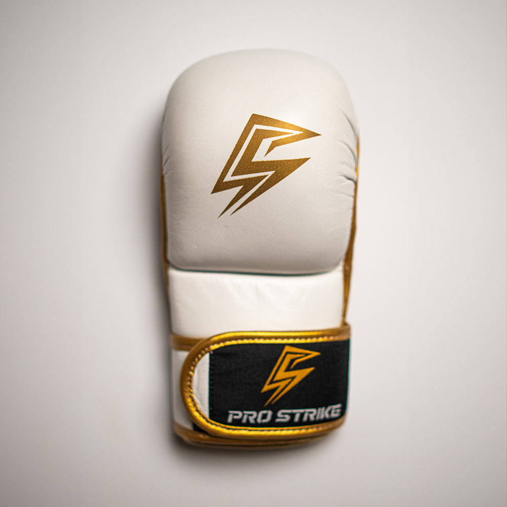 MMA Sparing gloves.