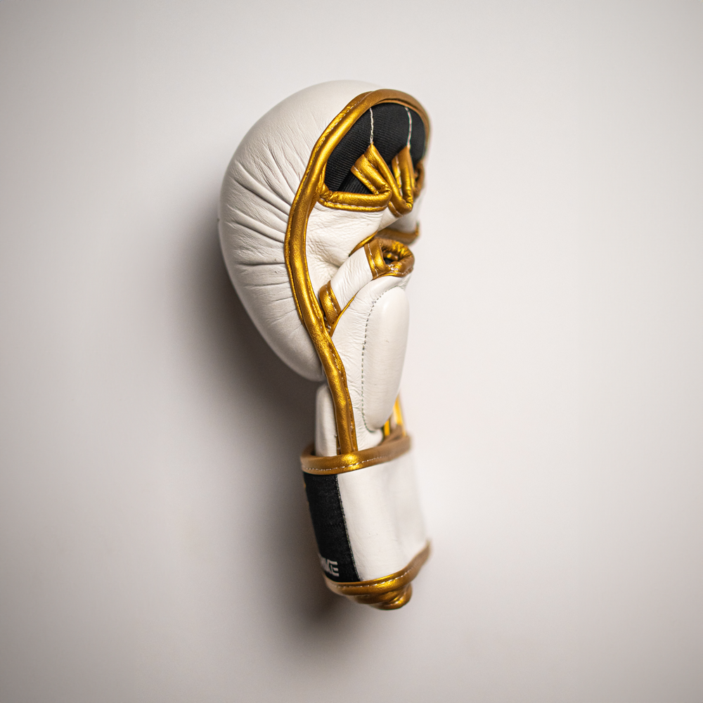 MMA Sparing gloves.