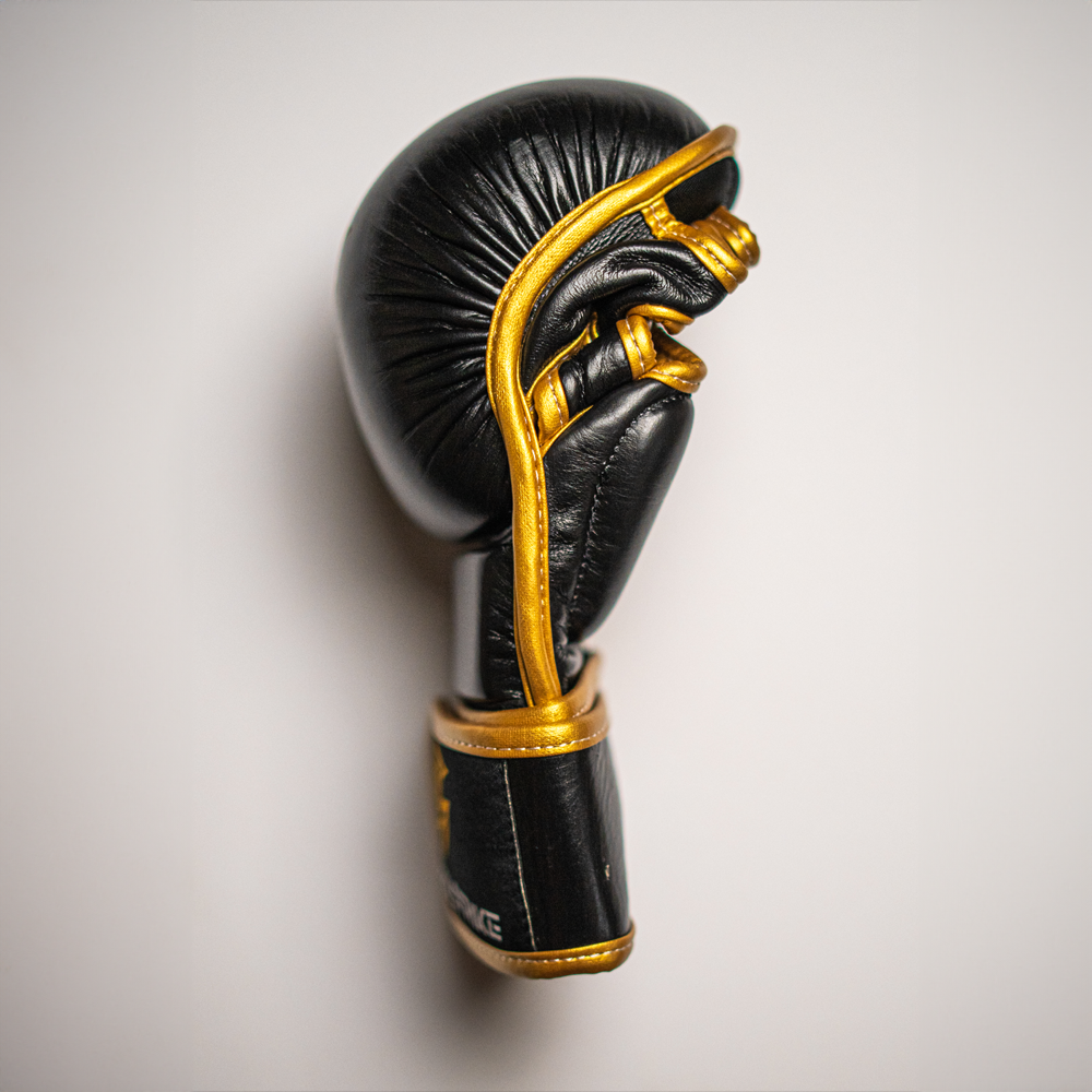 MMA Sparing gloves.