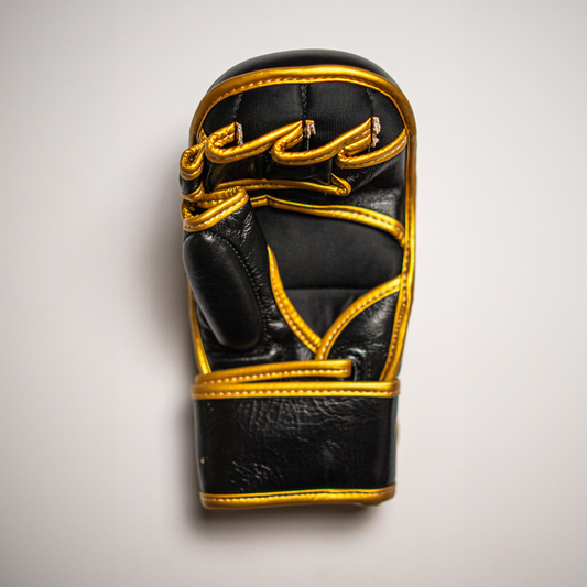 MMA Gloves